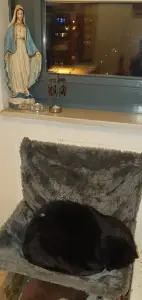 Annelies 01 Fijne kerstdagen